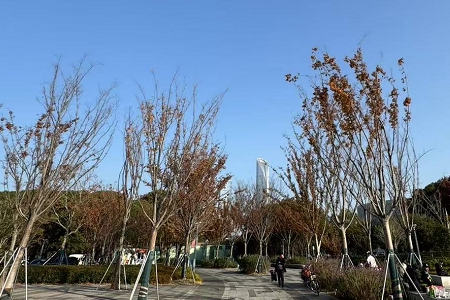 2026���꼪�����ҵ����