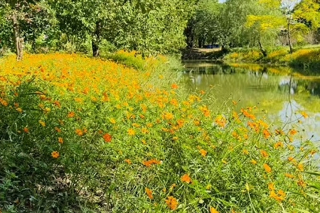 2026�껥������˾���ƴ�ȫ