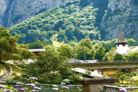 Ԣ����¡����Ĺ�˾��������