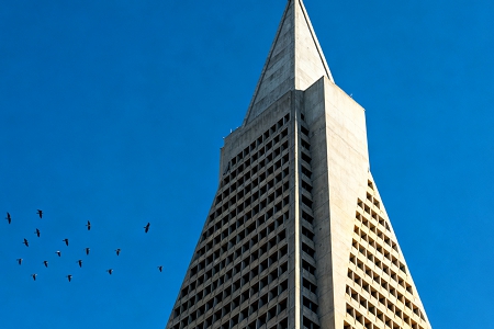 2026��Ԣ������Ĺ�˾����